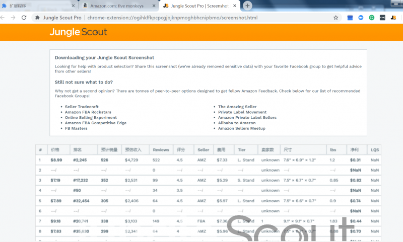 junglescout破解版哪里下载 百度网盘-jungle scout破解版怎么安装-junglescout破解版安全吗-图片26